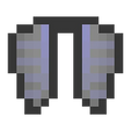 Elytra